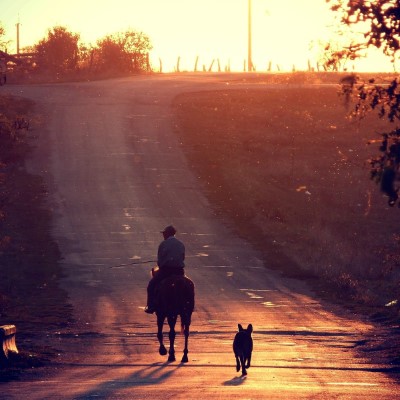 1920 x 1080 HD Wallpapers 1172